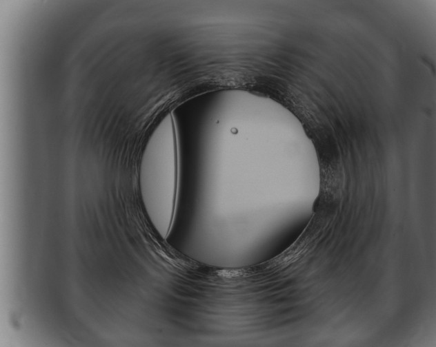 X0000091950095200709061048