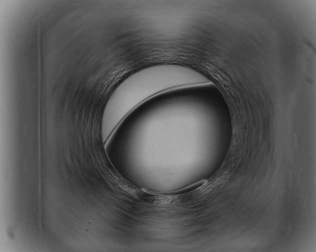 X0000091950096200709061048
