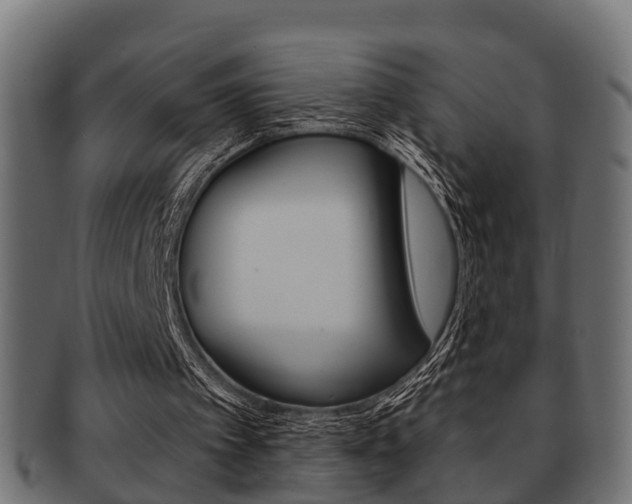 X0000091950097200709061048