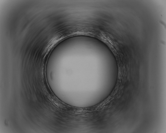 X0000091950098200709061048