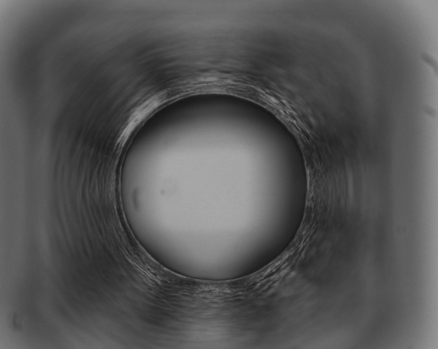 X0000091950099200709061048