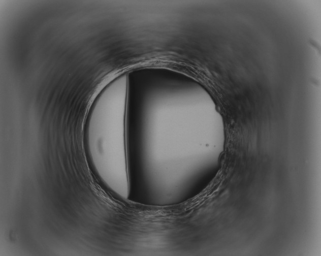 X0000091950100200709061048