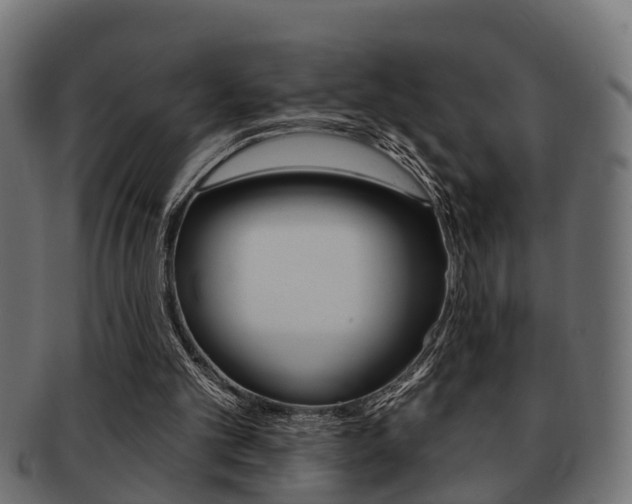 X0000091950101200709061048
