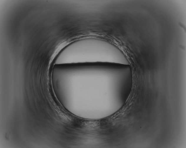 X0000091950102200709061048