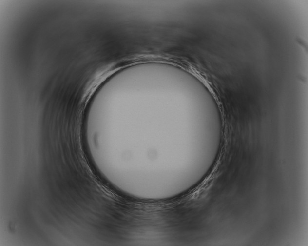 X0000091950103200709061048