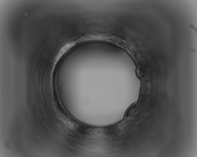 X0000091950104200709061048
