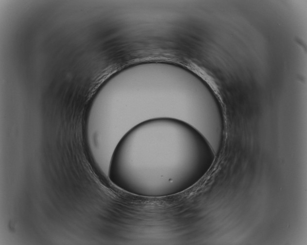 X0000091950105200709061047