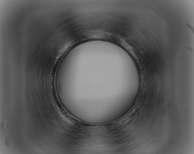X0000091950106200709061047