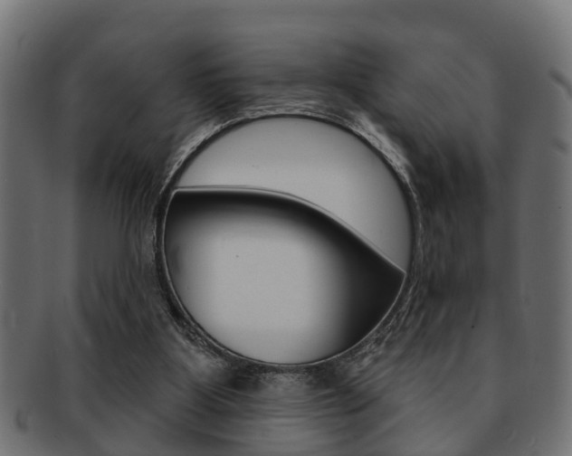 X0000091950107200709061047