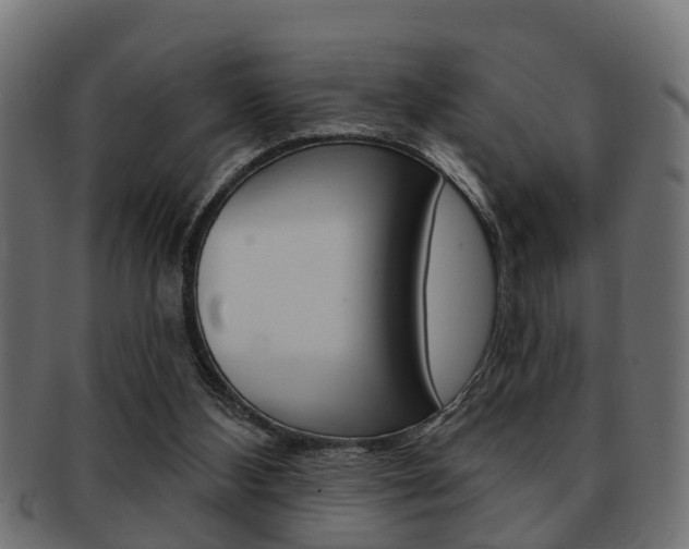 X0000091950108200709061047
