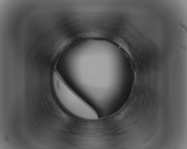 X0000091950109200709061047
