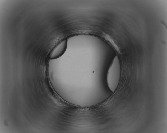 X0000091950110200709061047