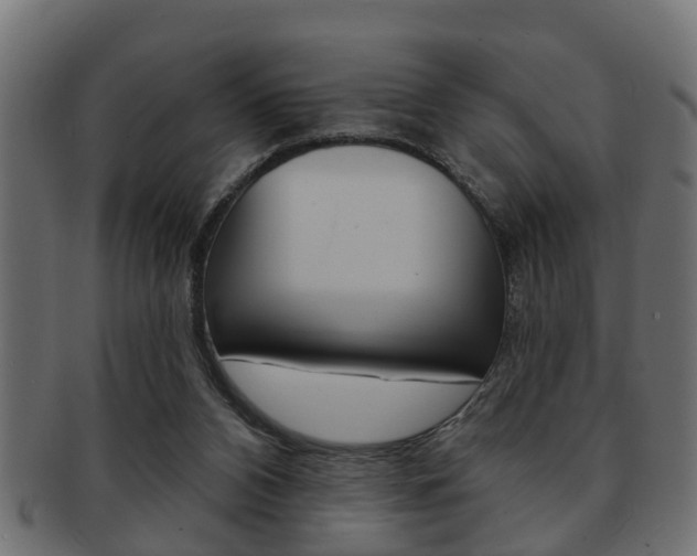 X0000091950112200709061047