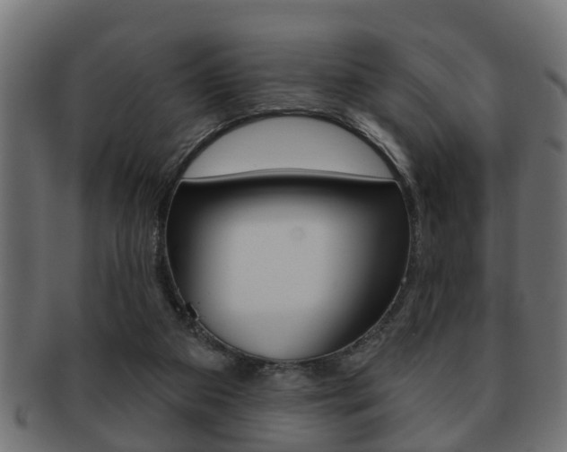 X0000091950113200709061047