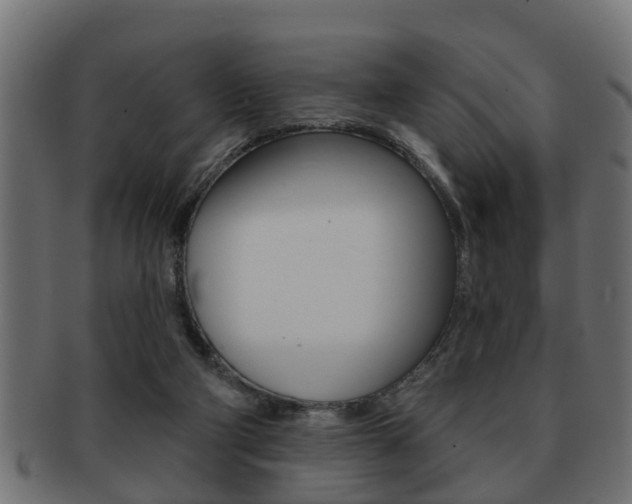 X0000091950114200709061047