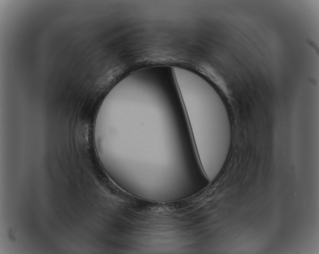 X0000091950115200709061047