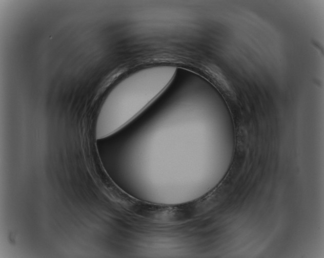 X0000091950116200709061047