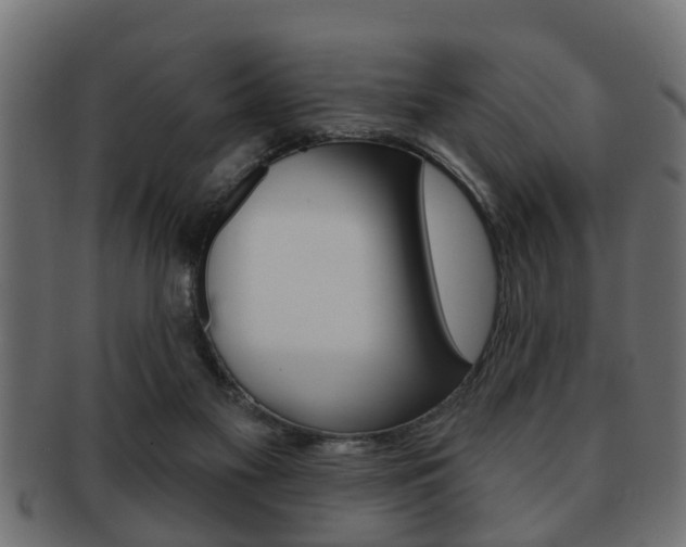 X0000091950117200709061047