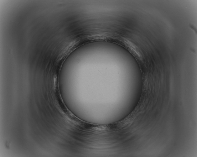 X0000091950118200709061047