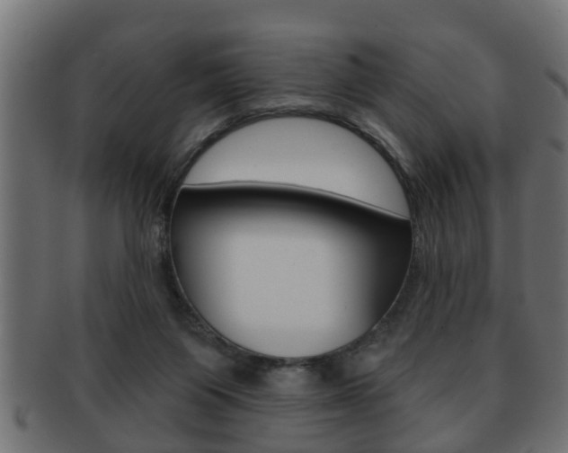 X0000091950119200709061047