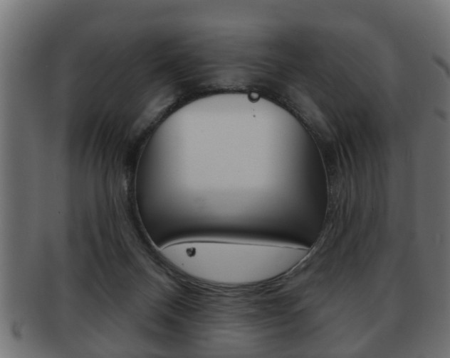 X0000091950120200709061047
