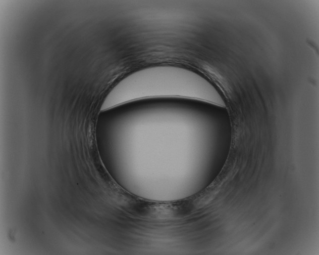 X0000091950121200709061047