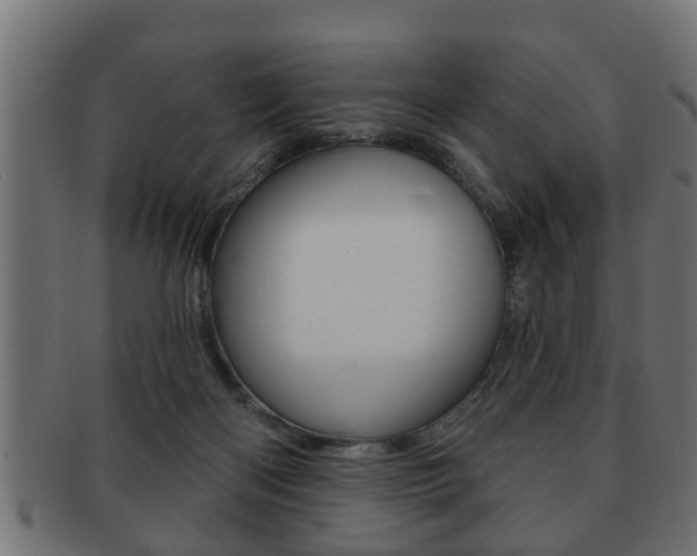 X0000091950122200709061047