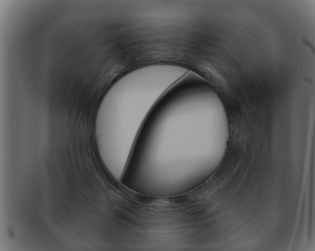 X0000091950123200709061047
