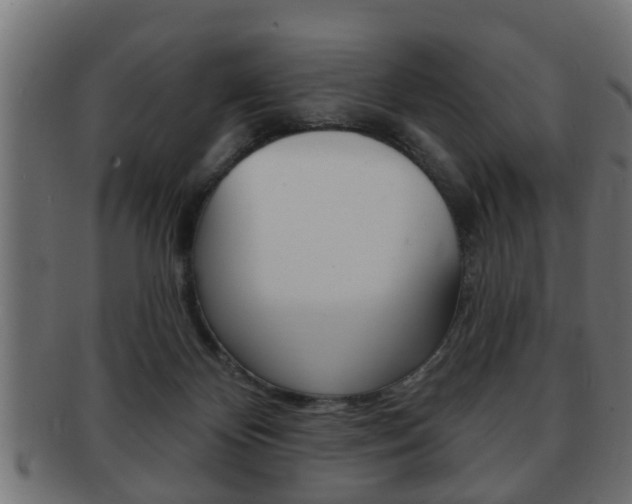 X0000091950124200709061047
