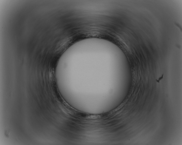 X0000091950126200709061047