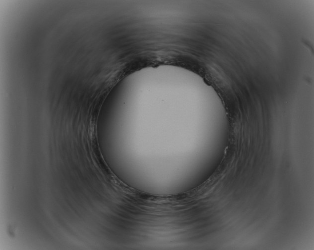 X0000091950129200709061047