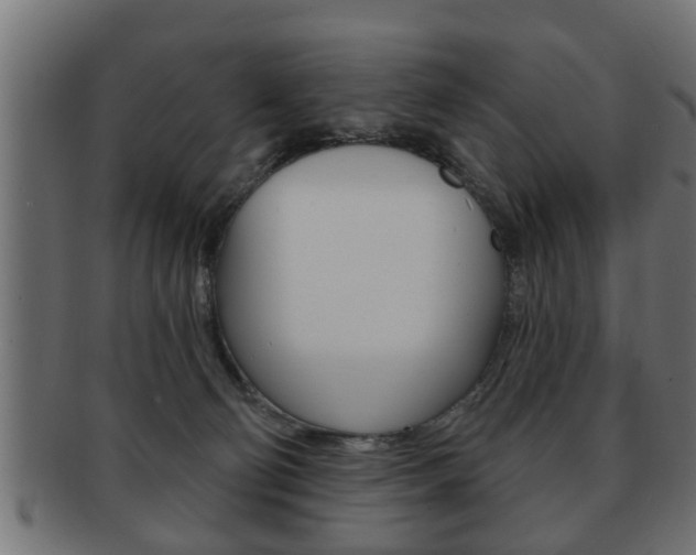 X0000091950130200709061047