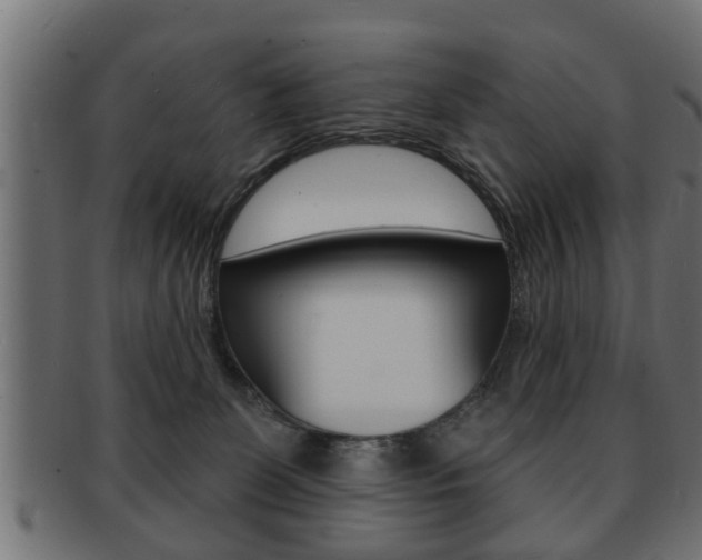 X0000091950131200709061047