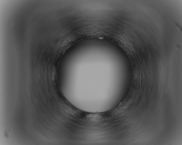 X0000091950133200709061047