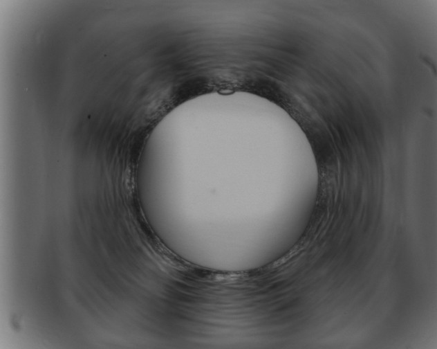 X0000091950134200709061047