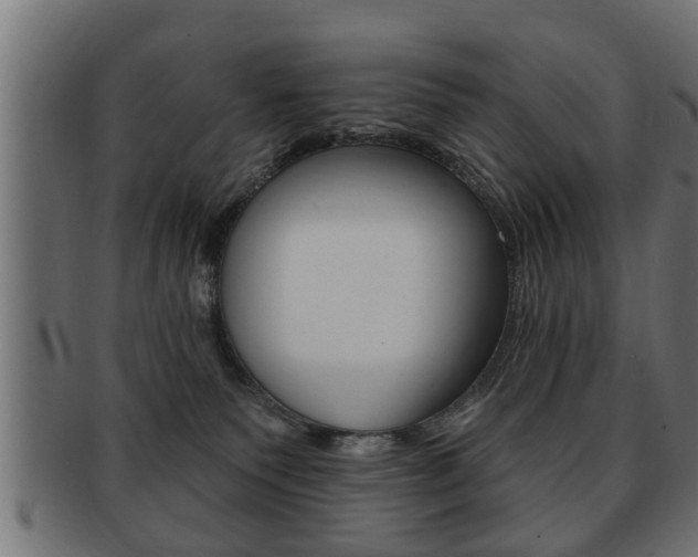 X0000091950135200709061047