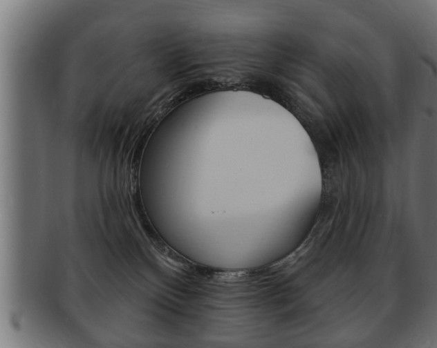 X0000091950136200709061047