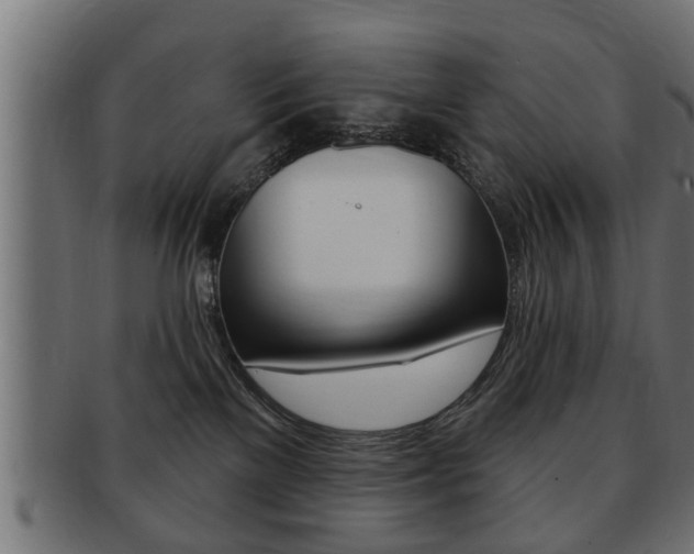 X0000091950137200709061047