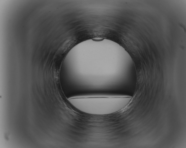 X0000091950140200709061047