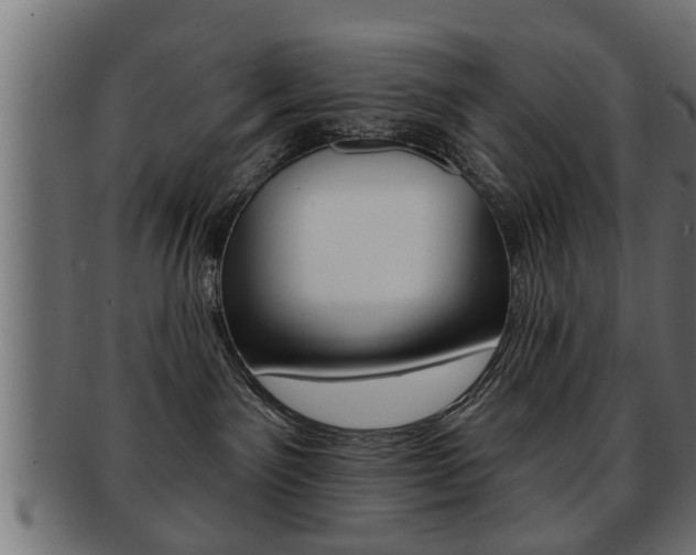 X0000091950141200709061047