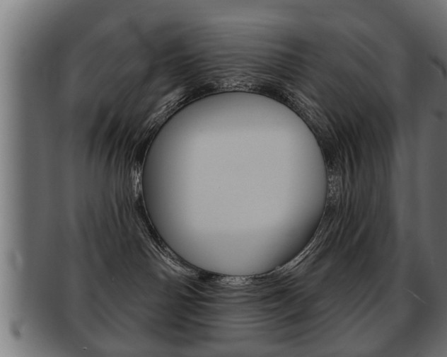 X0000091950142200709061047