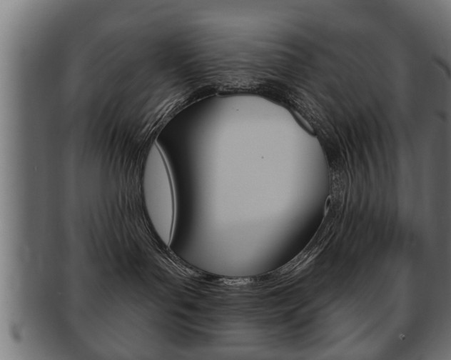 X0000091950143200709061047