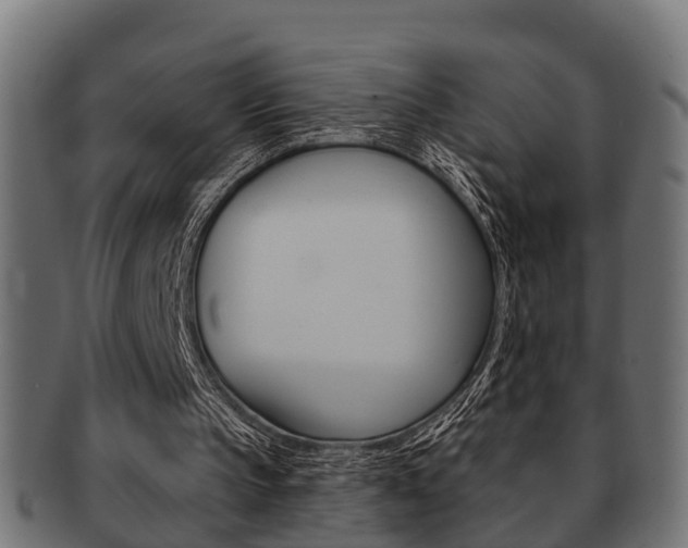 X0000091950145200709061046