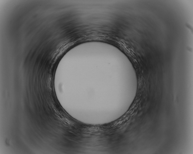 X0000091950146200709061046