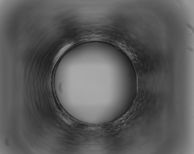 X0000091950147200709061046