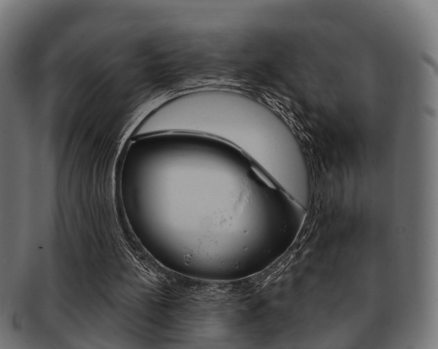 X0000091950148200709061047