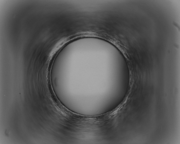 X0000091950151200709061047