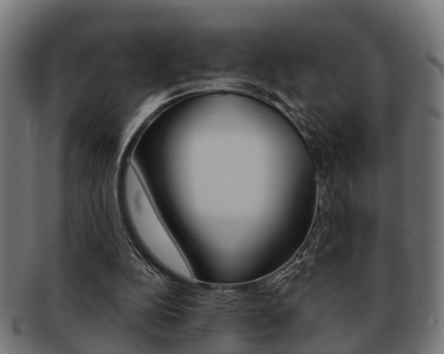 X0000091950152200709061047