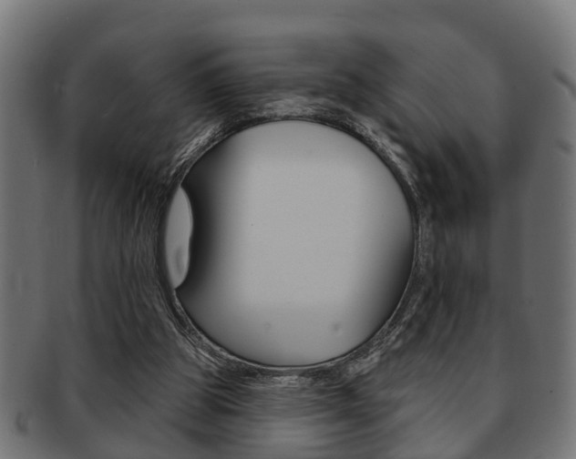 X0000091950153200709061047