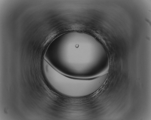 X0000091950154200709061047